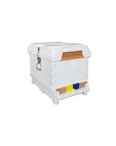 Apimaye 7-Frame Starter Hive - 4 Frames Bees & Newly Raised mated tested queen plus 3 FD waxed frames - RTG