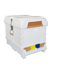 Apimaye 7-Frame Starter Hive - 4 Frames Bees & Newly Raised mated tested Rottnest Daughter Queen plus 3 FD waxed frames - RTG STORE COLLECT