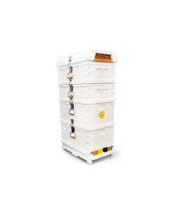 Apimaye 7F F/Depth Broods (2) & Manley Supers (2), LIGHT WEIGHT MAXI HIVE