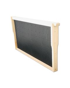 F/Depth Frame Wood - assembled with Plastic Foundation  (Min 10 Ship)