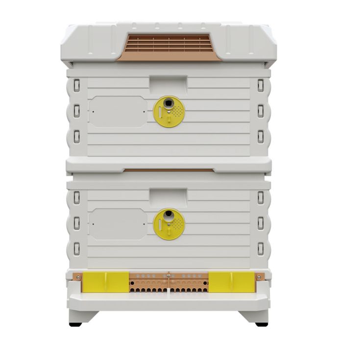 Apimaye 10F F/Depth Brood/Super