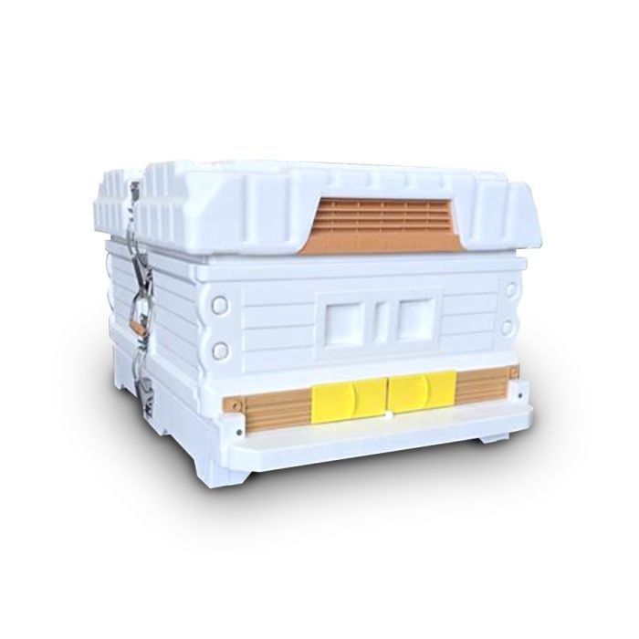 Apimaye 10F Manley Brood, 10 Beemax Plastic Frames