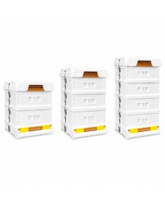 Apimaye 10F Manley Brood with Your Choice of Supers & Frames