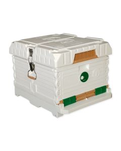 Apimaye 10F F/Depth Brood 10 Assembled 6-Wire Wood Frames With Wax Foundation