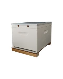 8F F/Depth Brood Hot Wax Dipped Painted - RTG