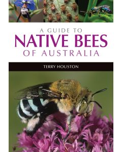 A guide to native bees of Australia