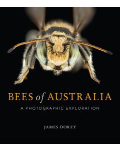Bees Of Australia - A Photographic Exploration