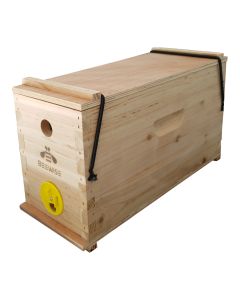 Nuc FD 4F - Bees & Newly Raised Mated Tested Nuc box Included - Taking orders now for Spring collection [WA ONLY]