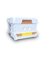 Apimaye 10F Manley Brood plus your Frame Selection