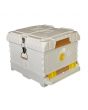 Apimaye 10-Frame Starter Hive - 4 Frames Bees & Newly Raised mated tested Rottnest Daughter Queen plus 6 FD waxed frames -  WA ONLY - SEPT/OCT 2025 STORE COLLECT