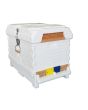 Apimaye 7-Frame Starter Hive - 4 Frames Bees & Newly Raised mated tested Rottnest Daughter Queen plus 3 FD waxed frames - WA ONLY - SEPT/OCT 2025 STORE COLLECT