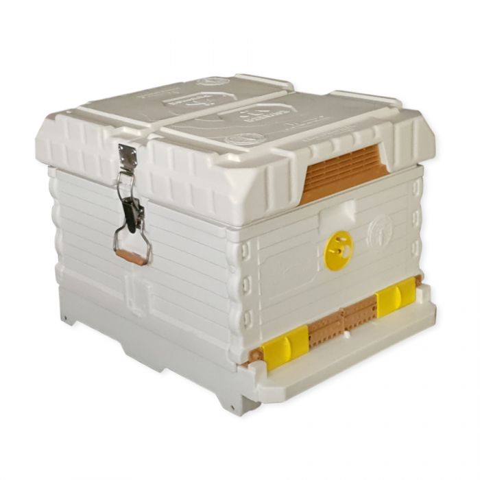 Apimaye 10-Frame Starter Hive - 4 Frames Bees & Newly Raised mated tested Rottnest Daughter Queen plus 6 FD waxed frames -  WA ONLY - SEPT/OCT 2025 STORE COLLECT