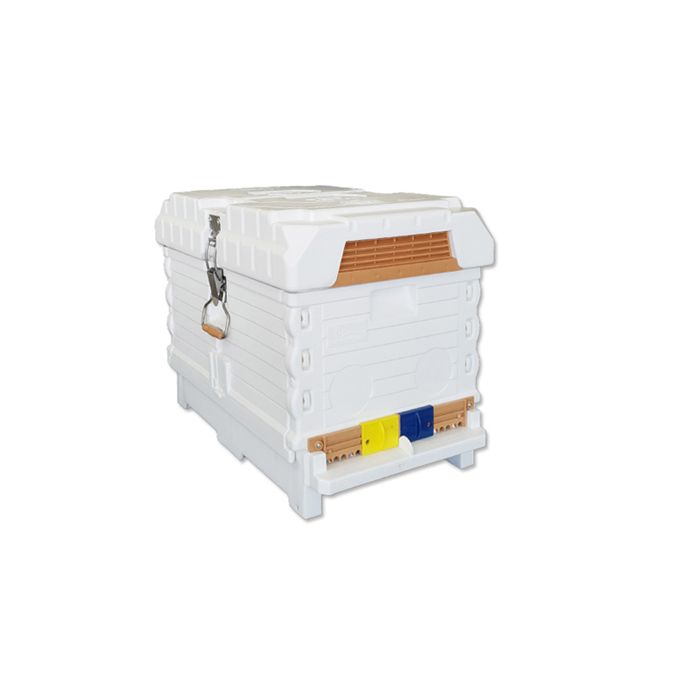 Apimaye 7-Frame Starter Hive - 4 Frames Bees & Newly Raised mated tested Rottnest Daughter Queen plus 3 FD waxed frames - WA ONLY - SEPT/OCT 2025 STORE COLLECT