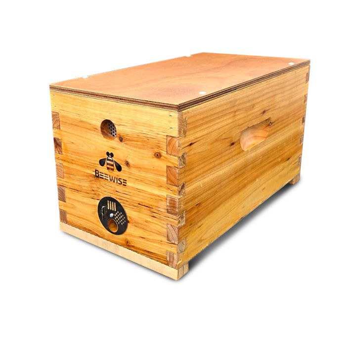 Nucleus Box 6-Frame Wax Dipped Perforated metals base - RTG