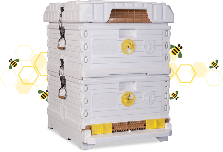 Apimaye-Thermo Bee Hive Box