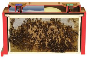 Apimaye Beehive Bottom Tray Cleaner