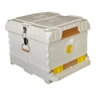 Apimaye 10-frame starter hive with bees