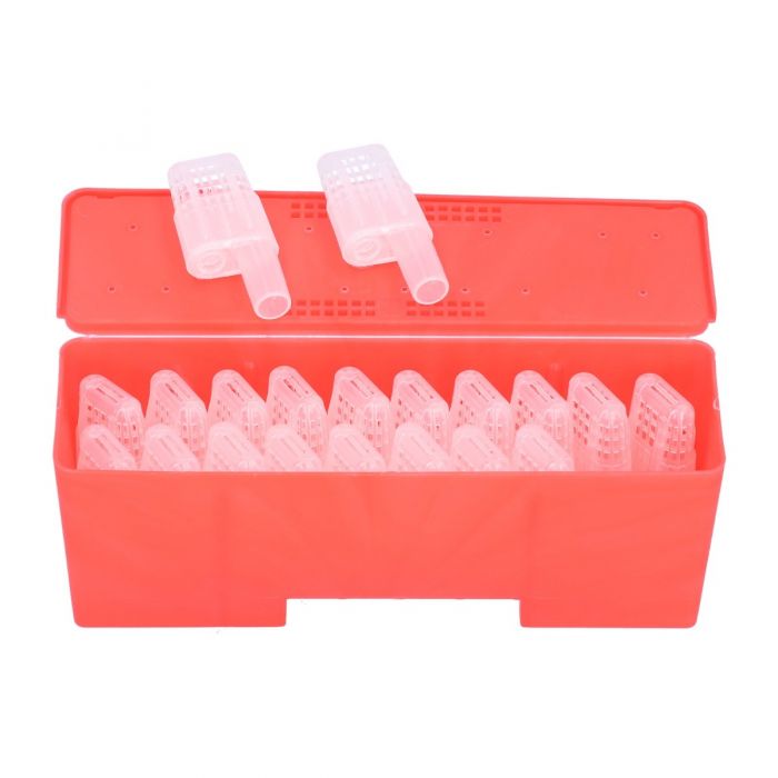 Queen Battery Box for shipping